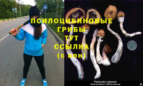 трава Володарск